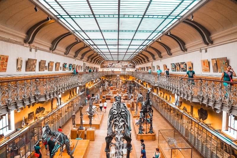 Dinosaurs Era